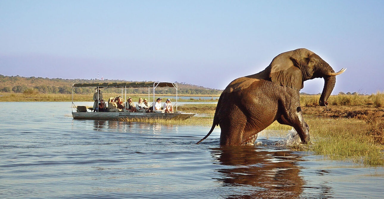 Chobe_Safari_Lodge_Game