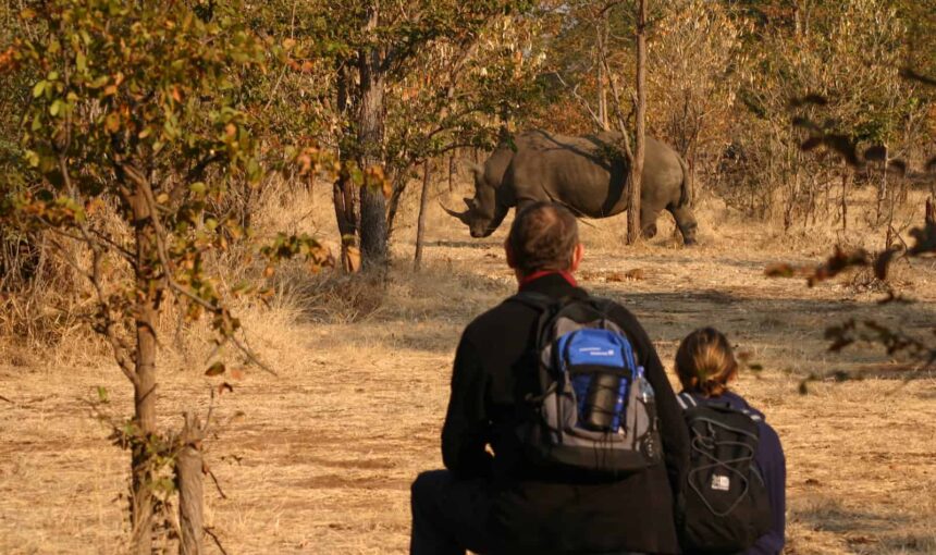 Victoria Falls in Dry Season